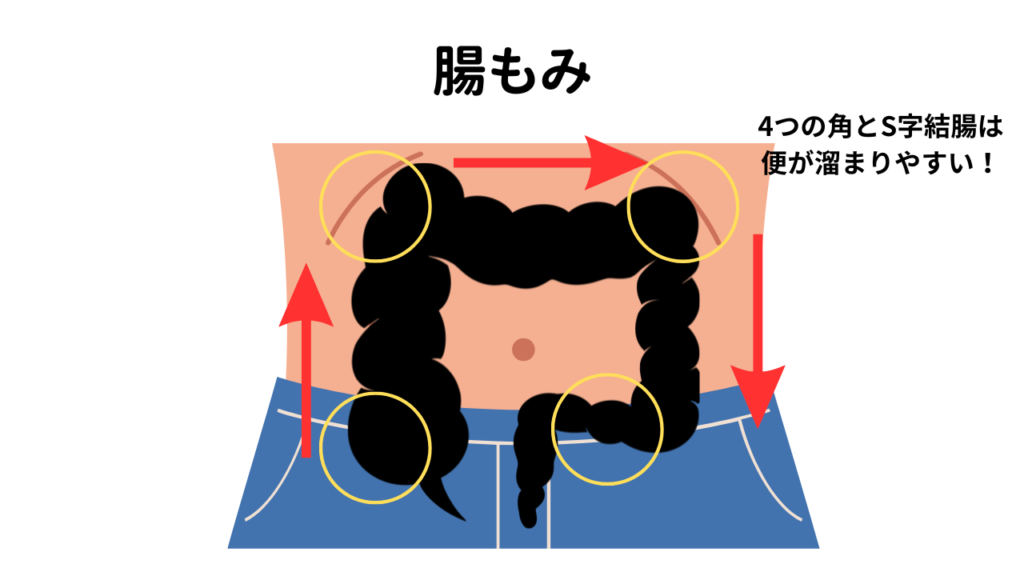 腸も身を説明したイラスト